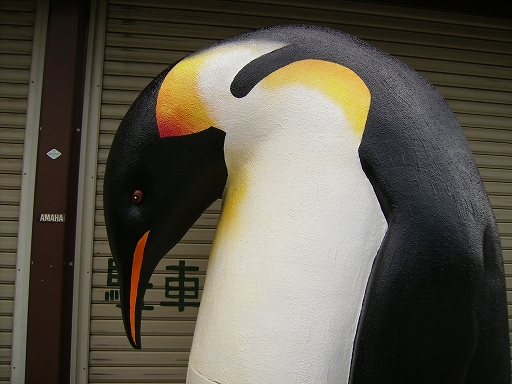 ペンギン16